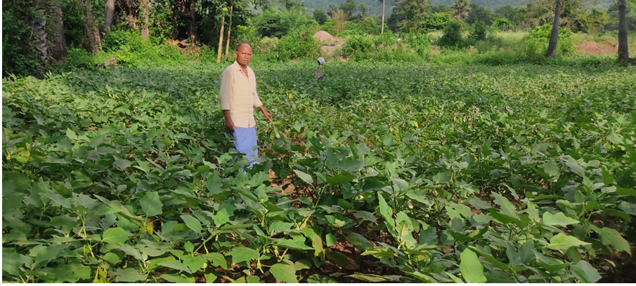 Agricultural Practices